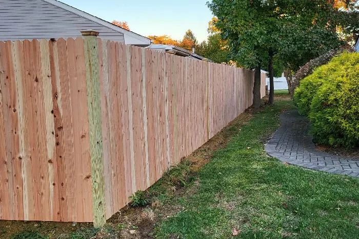 Fence Replacement
